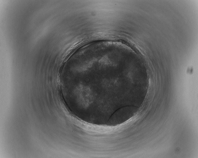 X0000094170048200711020951