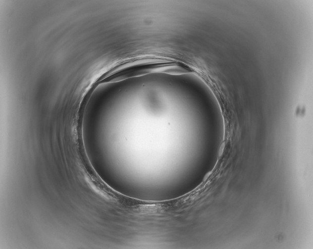 X0000094170050200711020951