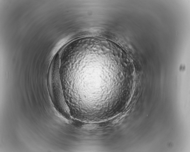 X0000094170051200711020951