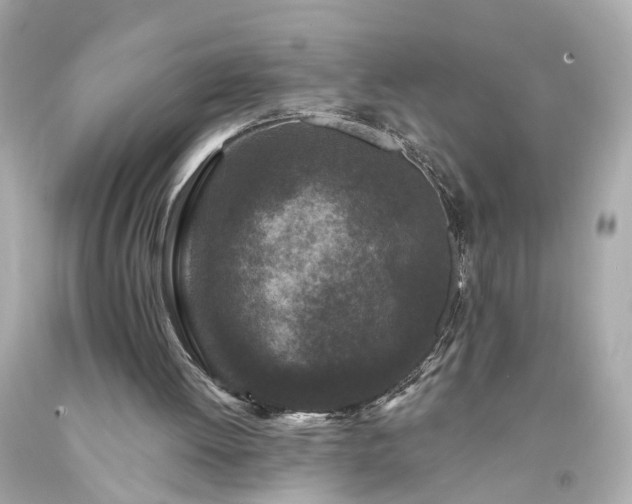 X0000094170052200711020951