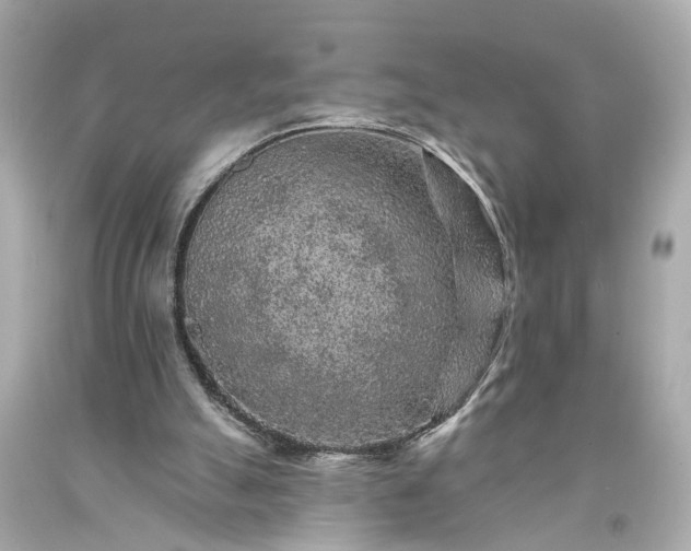 X0000094170055200711020951
