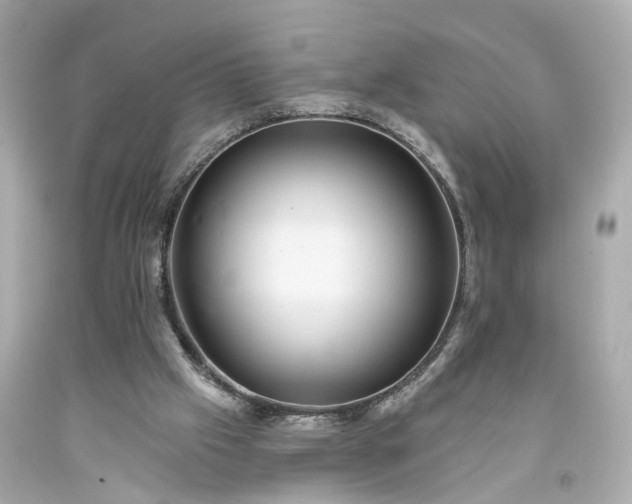 X0000094170057200711020951