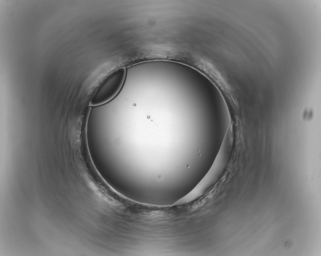 X0000094170058200711020951