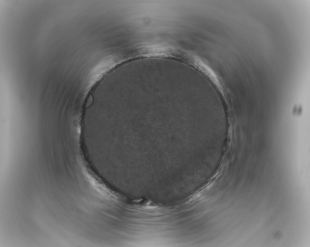 X0000094170059200711020951