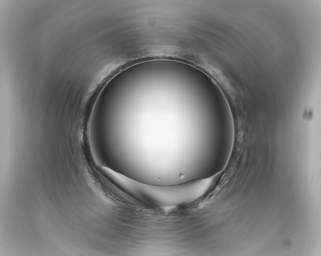 X0000094170060200711020951
