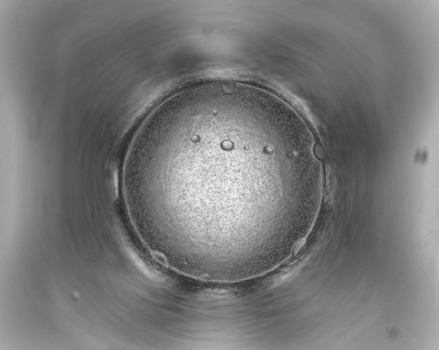 X0000094170061200711020951