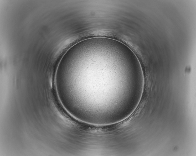 X0000094170062200711020951