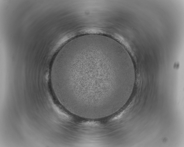 X0000094170063200711020951