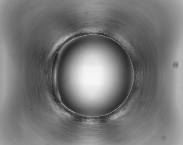 X0000094170064200711020951
