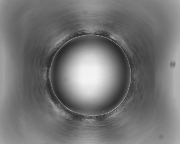 X0000094170066200711020951