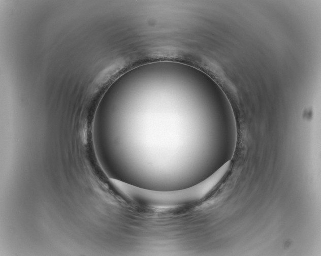 X0000094170068200711020951