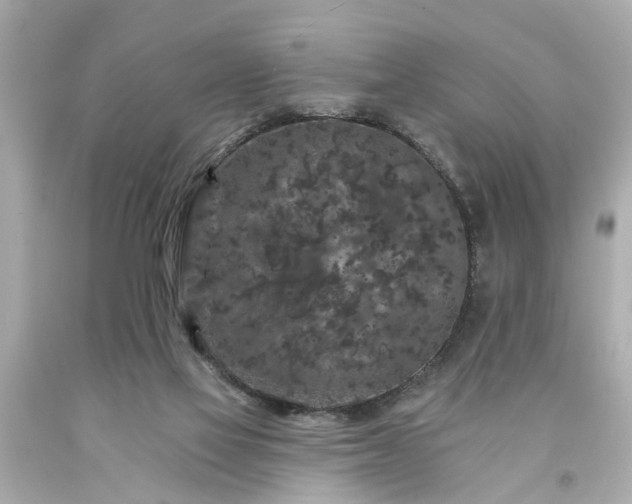 X0000094170069200711020951