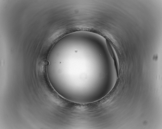 X0000094170071200711020951