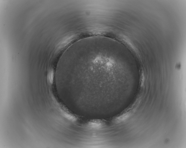X0000094170076200711020951
