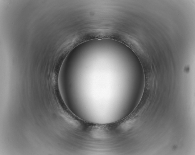 X0000094170077200711020951