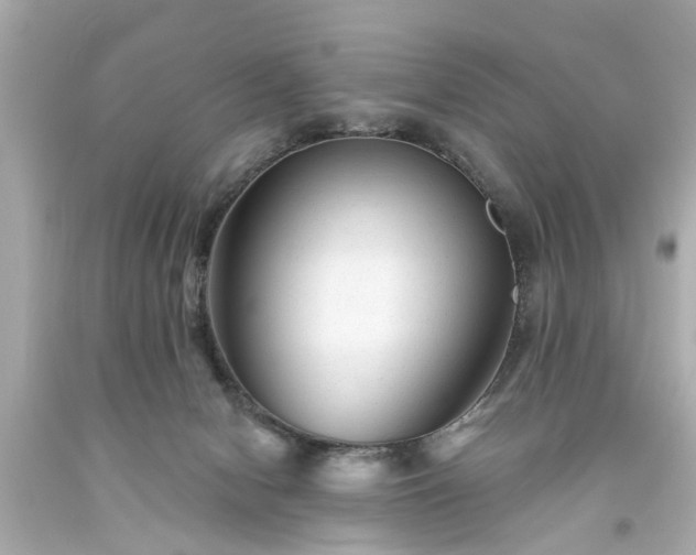 X0000094170078200711020951