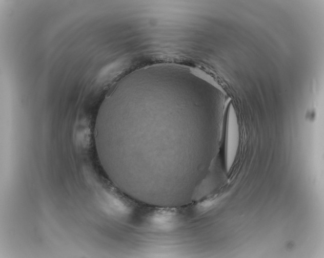 X0000094170080200711020951