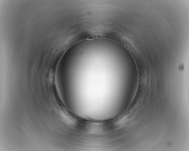 X0000094170081200711020951