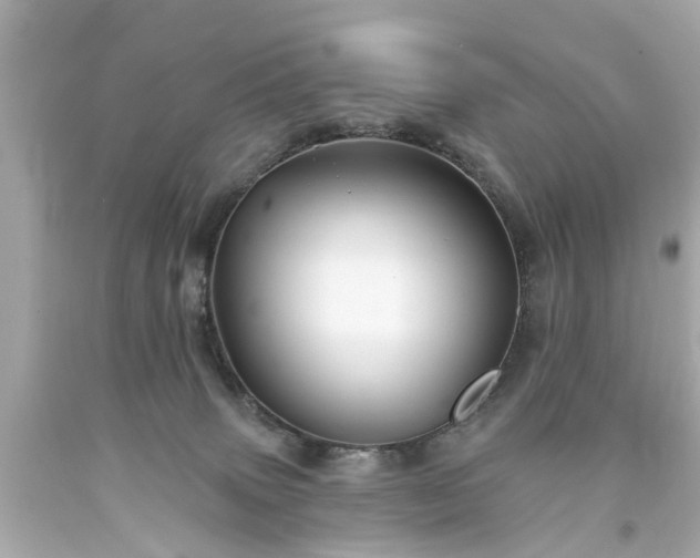 X0000094170083200711020951