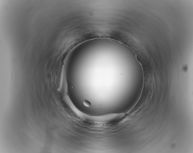 X0000094170084200711020951