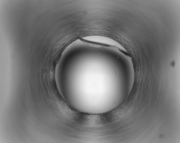 X0000094170085200711020951