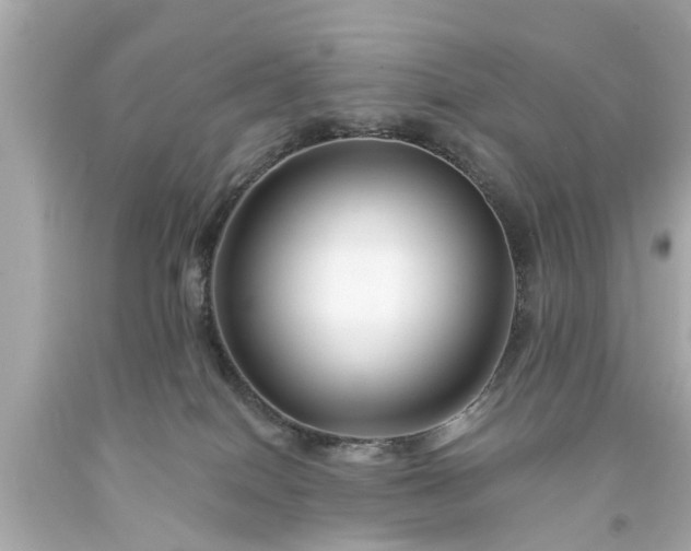 X0000094170086200711020951