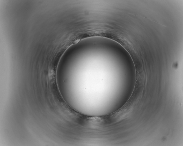 X0000094170087200711020951