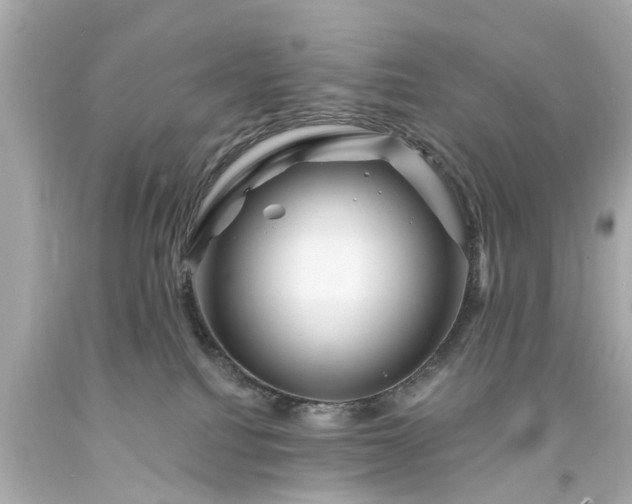X0000094170088200711020951