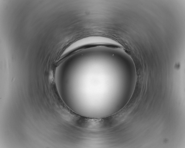 X0000094170089200711020951