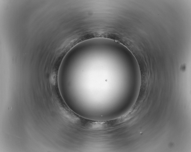 X0000094170090200711020951