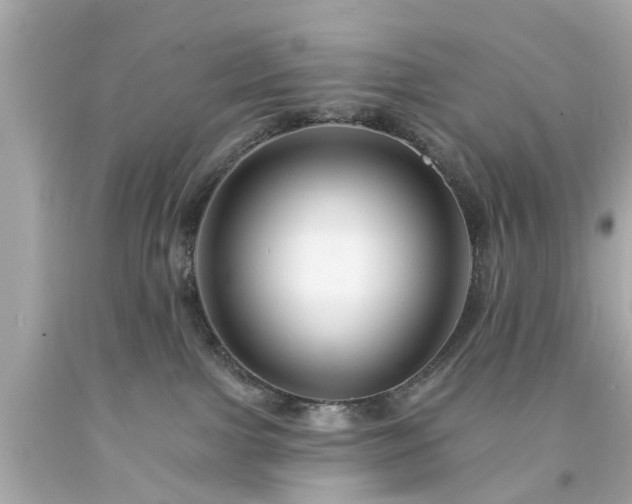 X0000094170091200711020951