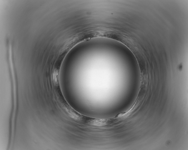 X0000094170094200711020951
