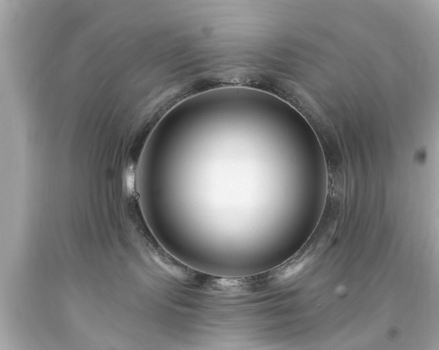 X0000094170095200711020951