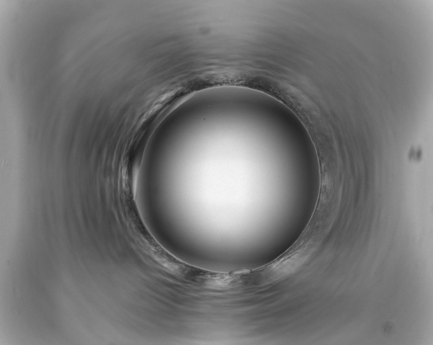 X0000094170096200711020951
