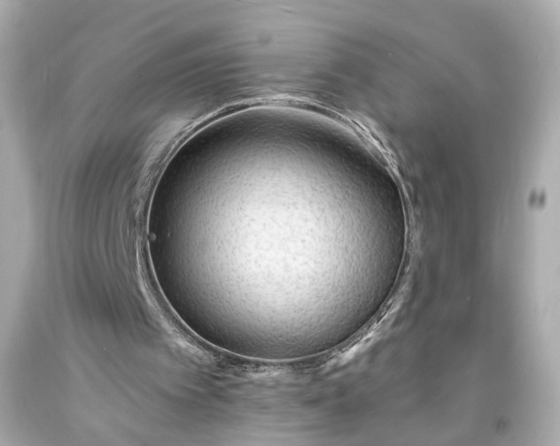 X0000094170097200711020951