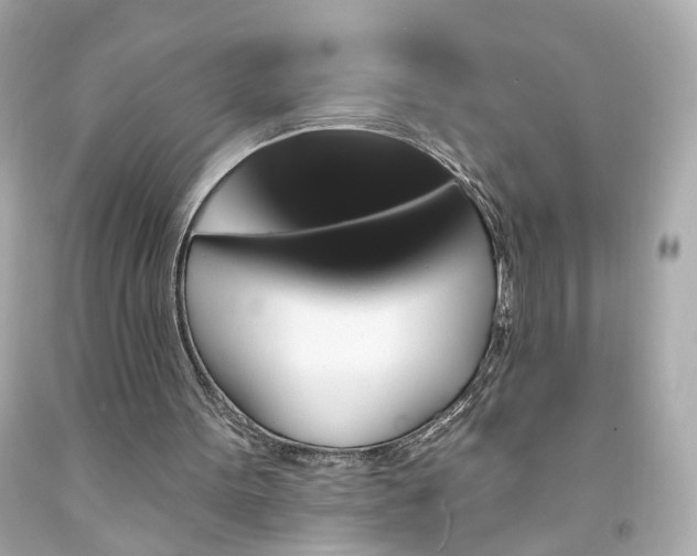 X0000094170099200711020951