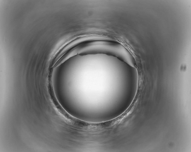 X0000094170101200711020950
