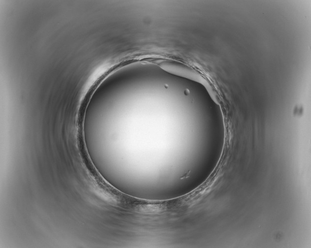 X0000094170102200711020950