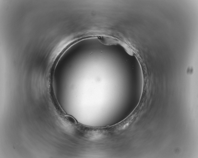 X0000094170103200711020950