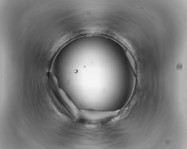 X0000094170105200711020950