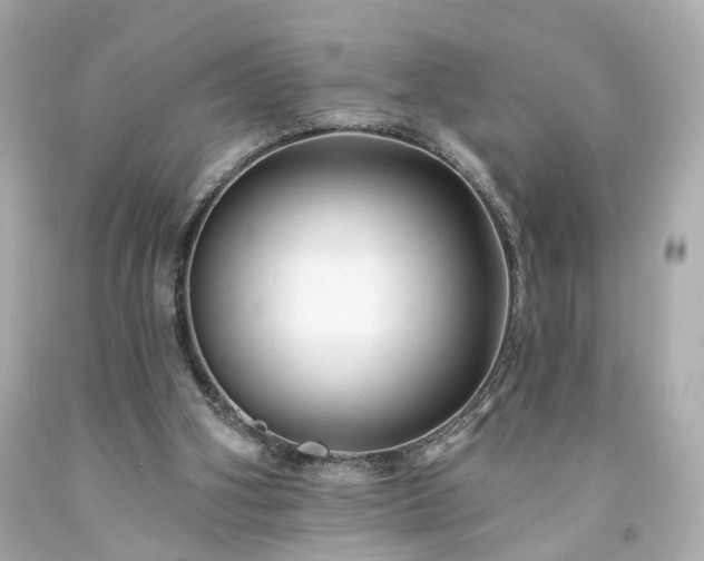 X0000094170106200711020950