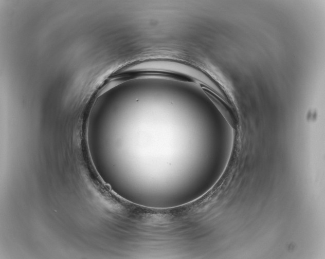 X0000094170107200711020950