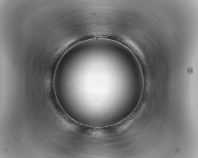 X0000094170113200711020950