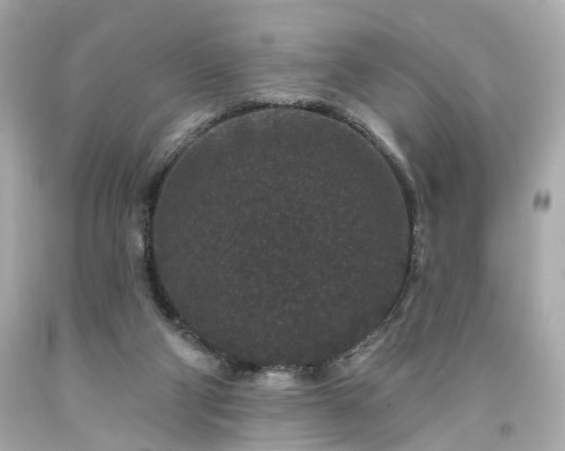 X0000094170114200711020950