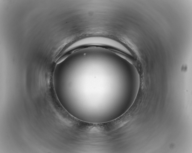 X0000094170115200711020950
