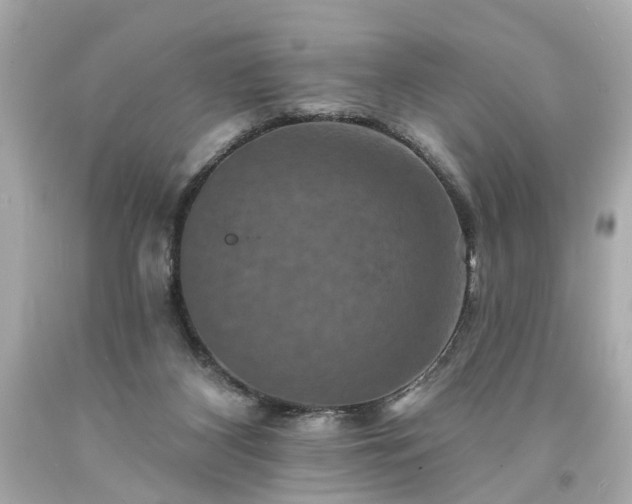 X0000094170116200711020950