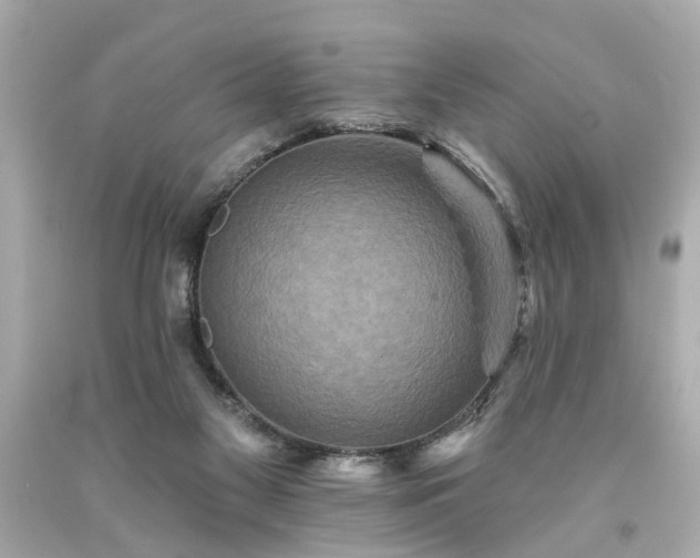X0000094170117200711020950
