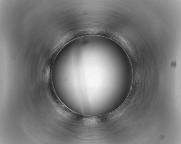 X0000094170118200711020950