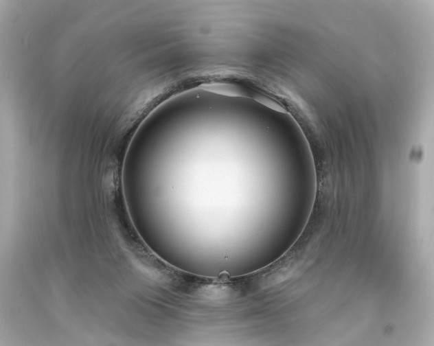 X0000094170119200711020950
