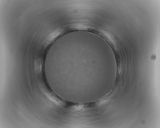 X0000094170120200711020950